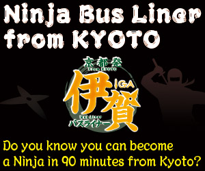 Ninja Liner
