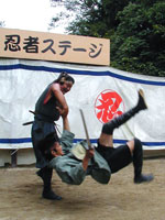 Ninja Experience Plaza Ninja Show photo